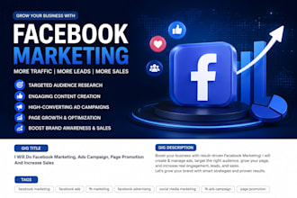 run facebook ads campaign for sales, leads and traffic