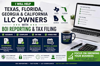 help texas florida georgia california llc owners with boi and tax filing