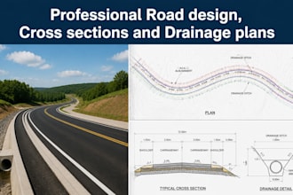 create professional road design, cross sections and drainage plans