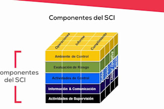 design your institutional internal control framework and risk matrix
