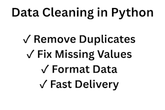 do data cleaning and preprocessing in python