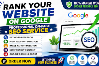 do professional on page SEO for your website