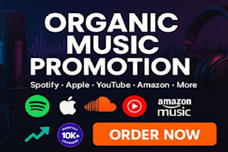 do music promotion on youtube, spotify, soundcloud, and music playlist