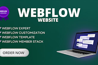 build website, webflow, webflow template, webflow memberstack