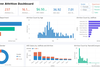 build a professional power bi dashboard for your business