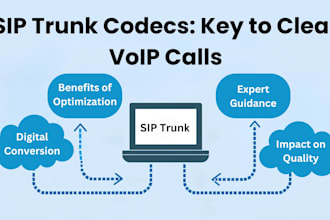 sip trunk did number 3cx auto dialer voip auto dialer and sip trunk provider