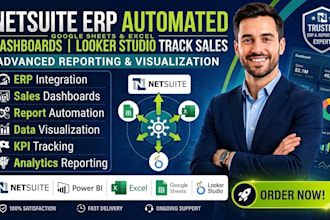 netsuite erp automated google sheets excel dashboards looker studio track sales