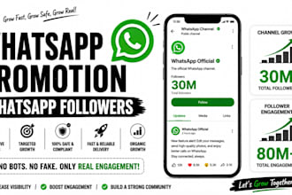 do whatsapp channel promotion target worldwide with paid ads