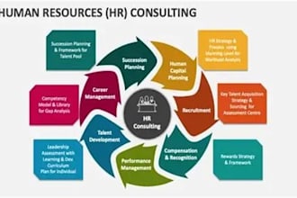 provide expert HR consulting policies and performance management support