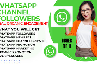 boost whatsapp followers grow whatsapp 100k channel members with bulk sms