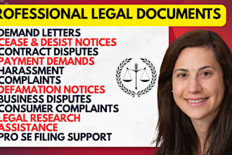 prepare and review your small claims court documents and filings