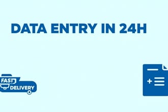 do fast data entry and PDF to excel in 24h
