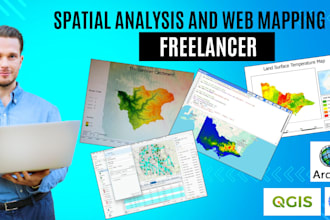 do professional gis analysis and spatial mapping