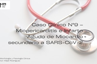 haré resúmenes académicos y diapositivas profesionales