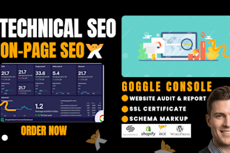 do on page technical SEO, local website audit, google search console, indexing