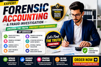 do forensic accounting, fraud detection, and financial investigation