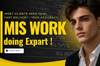 do professional mis executive and excel work