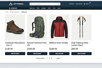 design a modern responsive ecommerce website