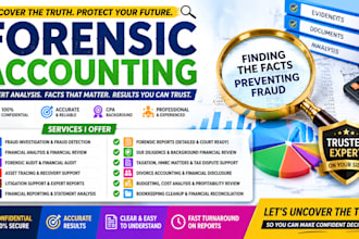 provide forensic accounting, fraud detection, and financial analysis