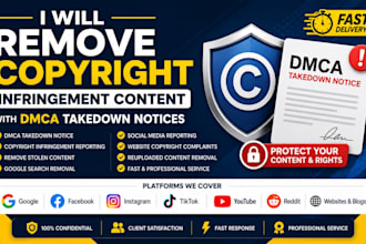 remove copyright link and negative link, mugshots,news, fake article by dmca