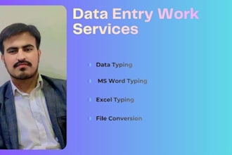do proffesional data entry services in ms office and excel