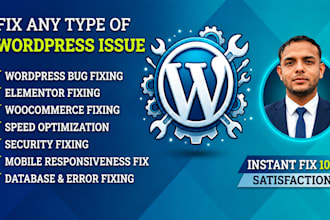 fix wordpress issues, fix wordpress bugs, website issues and problem