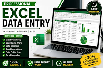 do excel data entry and spreadsheet work