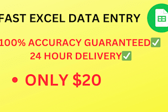 do fast and accurate excel data entry for 5 USD