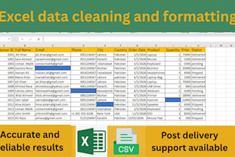 do excel data cleaning, formatting, merging and CSV data cleanup