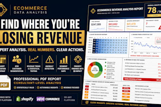 analyze ecommerce data to reveal revenue leaks and growth opportunities