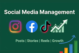 professionally manage your social media accounts for organic growth