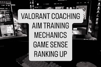 valorant coaching to improve aim, game sense, etc