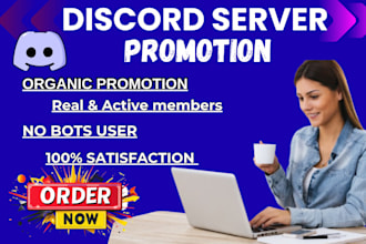 do discord server promotion, minecraft, dayz ,rust ,fivem promotion, discord ad