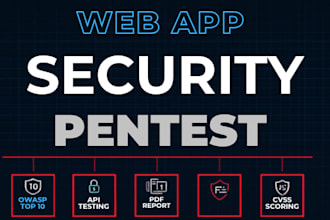 perform a web app security audit and penetration test