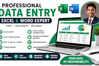 handle excel data entry and word documentation
