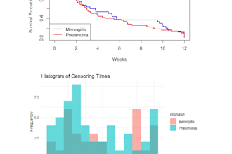 do professional data analysis and visualization