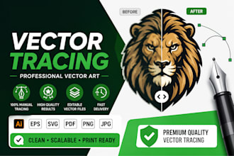 maximize image quality and convert into vector