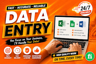 accurate excel data entry, typing, and spreadsheet work