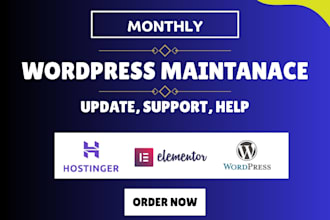 provide wordpress website maintenance and support