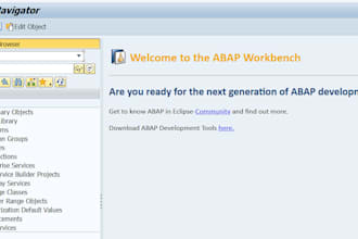 provide sap abap and sap ewm technical support