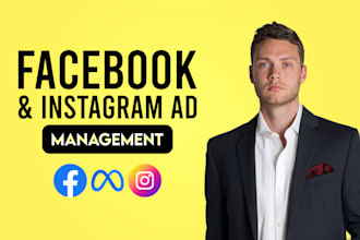 setup and optimize facebook instagram ad campaigns
