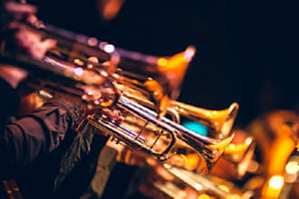 record sax trumpet trombone cornett french horn flugehorn for your track