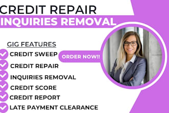 expert sweep and repair your credit report remove negative items credit score