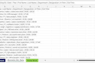 data entry with with data analysis