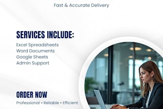 do data entry ms office and admin tasks