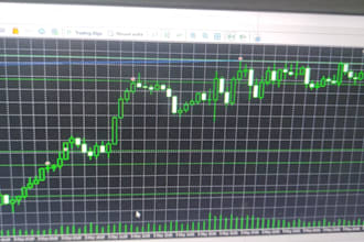 develop a custom mql5 expert advisor