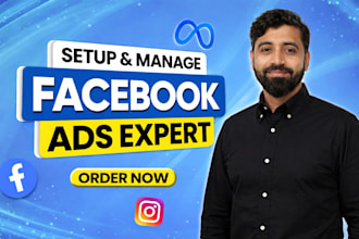 setup and manage facebook ads, meta advertising campaign