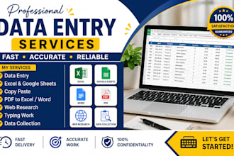 do data entry, copy paste work and invoice processing