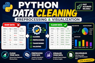 perform python data cleaning, preprocessing, and visualization