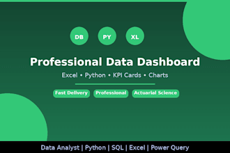 design a professional data dashboard in excel and python